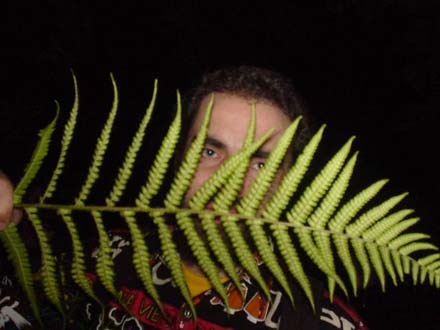 in the jungle